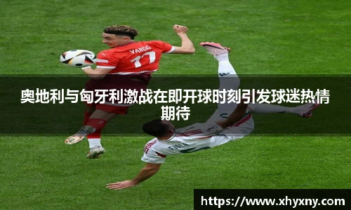 XK星空手机最新版本